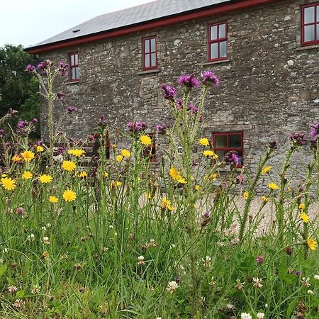 The Old Mill, Kilcorkey, Bellanagare, Castlerea, County Roscommon - West Of Ireland -House 1 Villa Kültér fotó